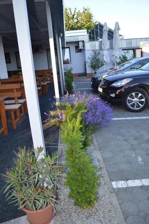 Bed and Breakfast Pansion Antonio à Slavonski Brod Extérieur photo